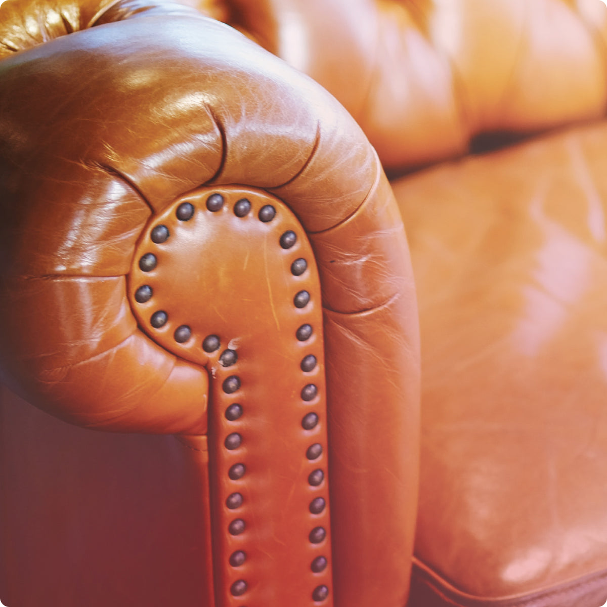 Course: Leather Cleaning & Maintenance